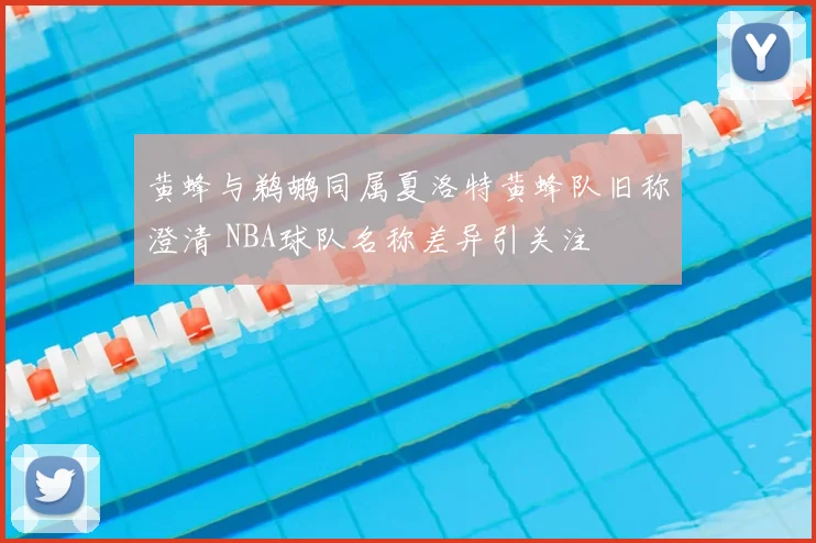 黄蜂与鹈鹕同属夏洛特黄蜂队旧称澄清 NBA球队名称差异引关注