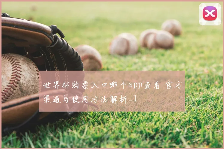 世界杯购票入口哪个app查看 官方渠道与使用方法解析_1