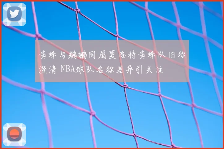 黄蜂与鹈鹕同属夏洛特黄蜂队旧称澄清 NBA球队名称差异引关注