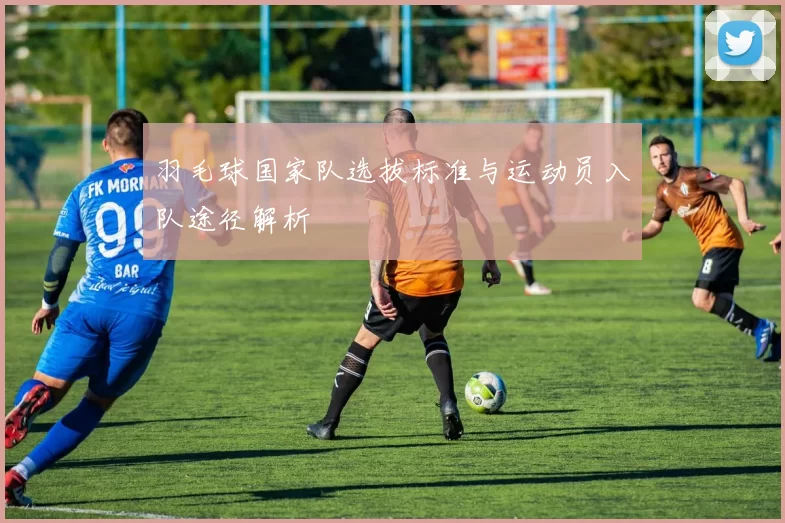 羽毛球国家队选拔标准与运动员入队途径解析